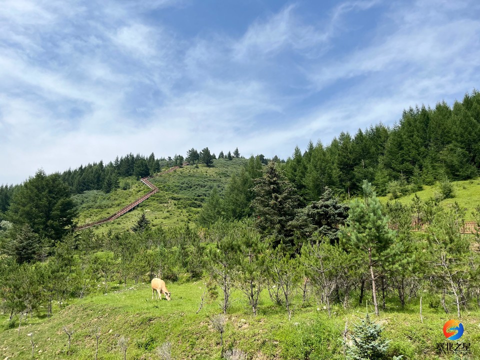 微信图片_20240714203147