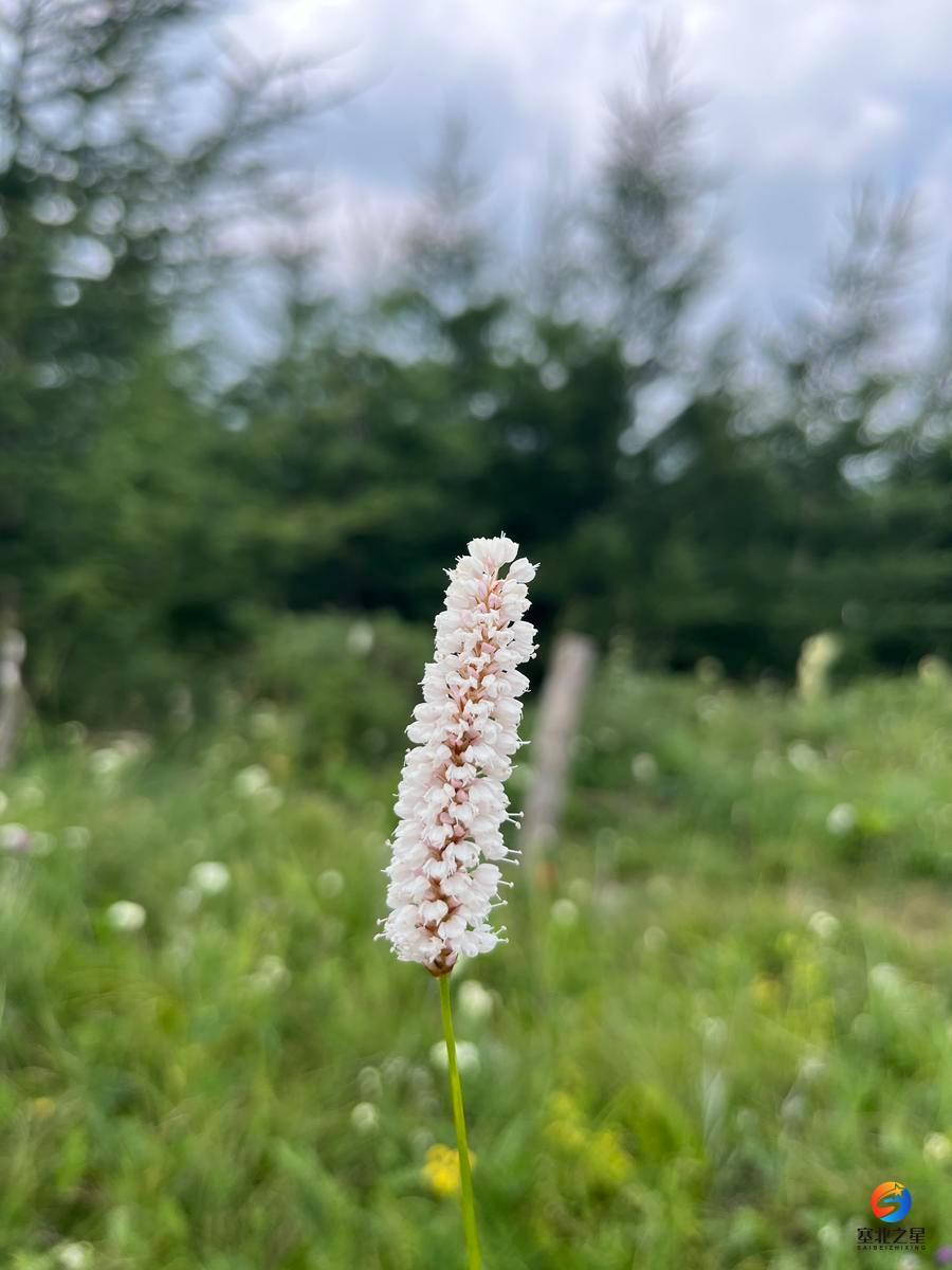 微信图片_20240714202941