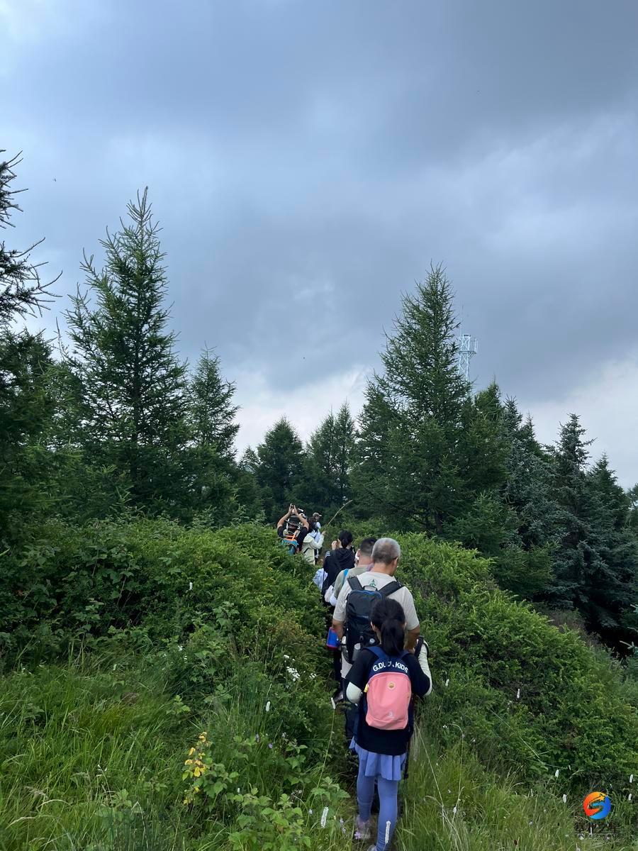 微信图片_20240714203027