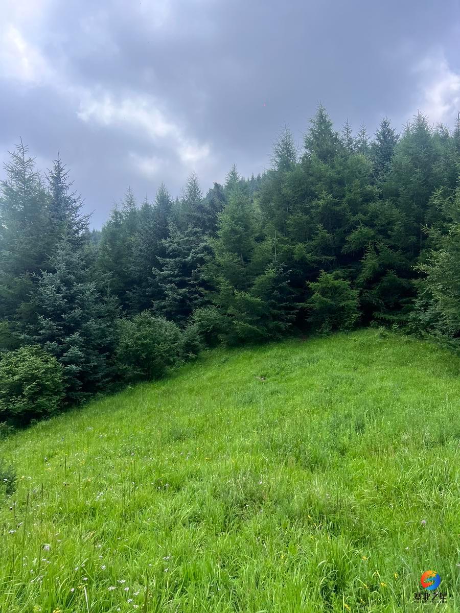 微信图片_20240714203216