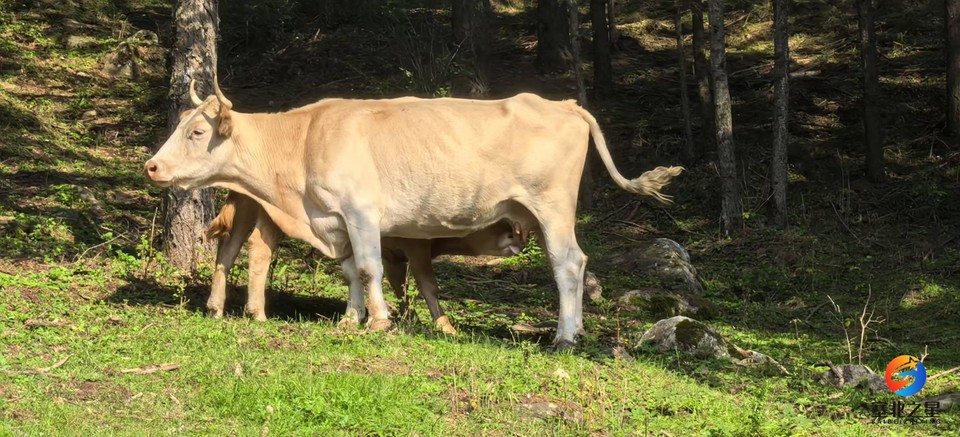 Nw5qMjQru3cPSq2y_DoNaBQhHHq6TzLZAIlDn_njHawGqtaIm5tnWootz7qQ3Tlg