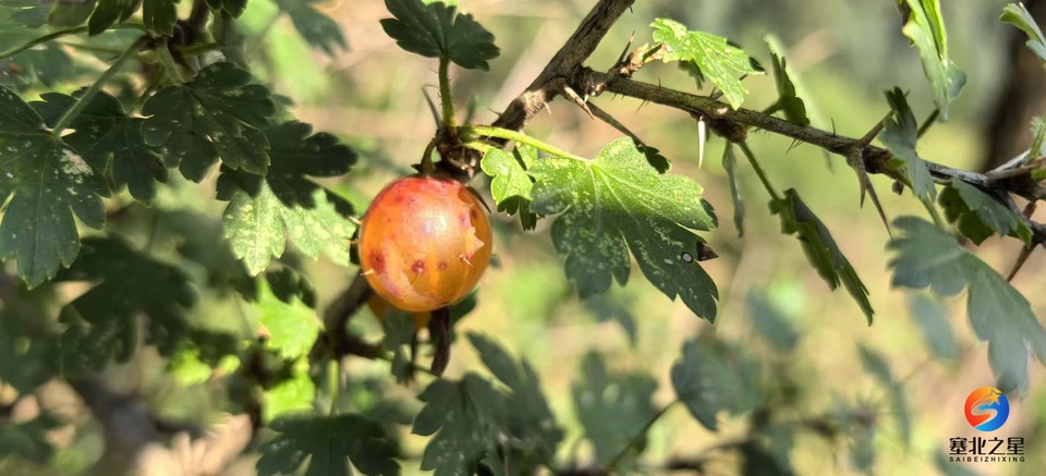 Nw5qMjQru3cPSq2y_DoNaFAB5YcK--5wTuMjRselxcC8yHDxX77N8Ar4twrt6X8z