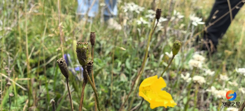 Nw5qMjQru3cPSq2y_DoNaAbDS1cHq3QQ21NzyF7u-V01afEtmXtZIIWMGnW8qdA8