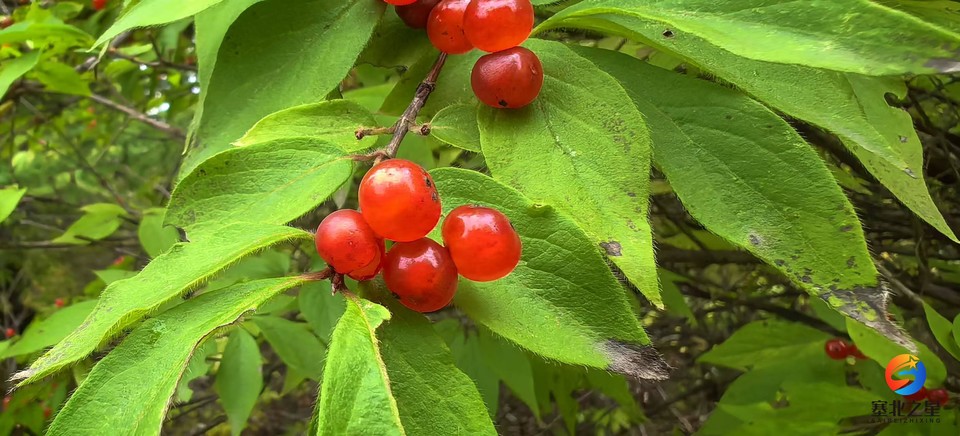 z9thJ56ZEO8SAqg52jHWrShYZdL8KjaYfa4PeES1mmvi-AQgZ2i330WoVCl9HPPW