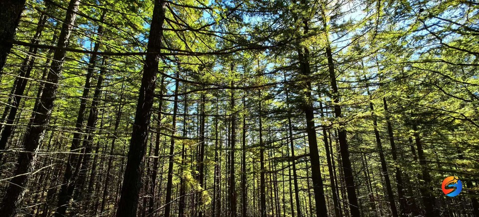 U9gn4p55QnAryMfslu7P5PD3NG7dZs2cccMYQmv98Fs1-ncXkhWvfQ-IaVwm95s-