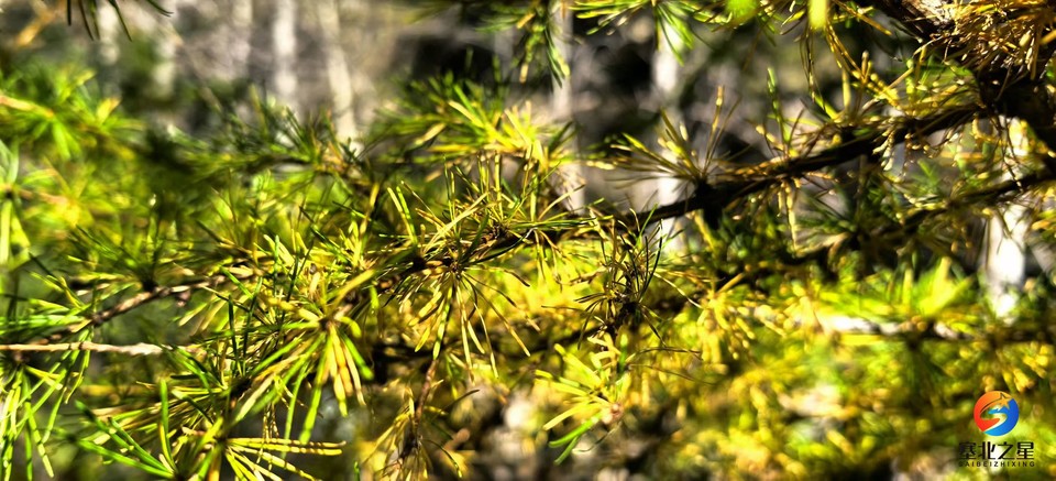 U9gn4p55QnAryMfslu7P5GPecXflovA3B3Oy7JTIV3qNpjU1zfADAqRCaAiJF5jW