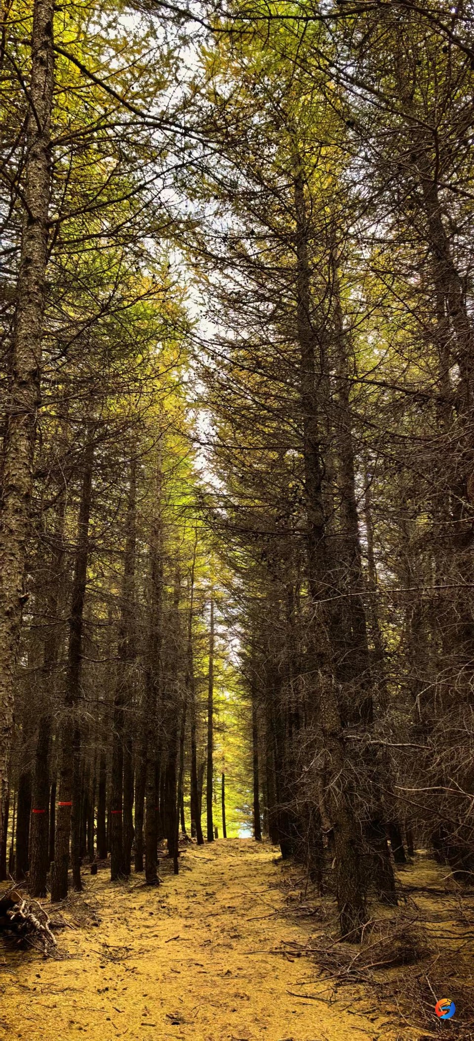 4qIqBD3oay5lpZbRf_kftIWfUnIGTbxy6zonO62eyX8vf4Ato1iStGDJtCYYvBU2