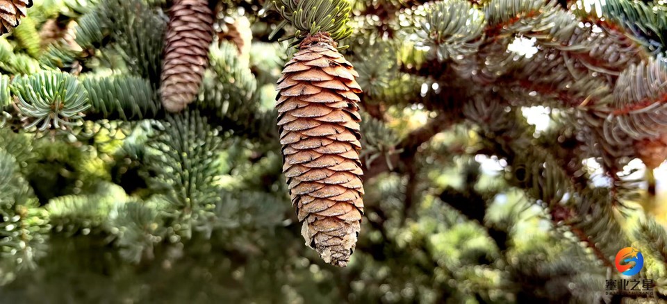 4qIqBD3oay5lpZbRf_kftIx0Ro2lLqmHYYz-AfUrTmcrxMM2srQIY6cnNvapTvsR