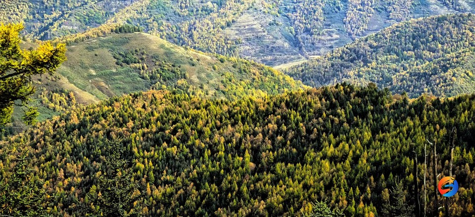 4qIqBD3oay5lpZbRf_kftM5giQwB-QxWsyKOSZJbmUwitDRbFHox2rWtty-9rFch