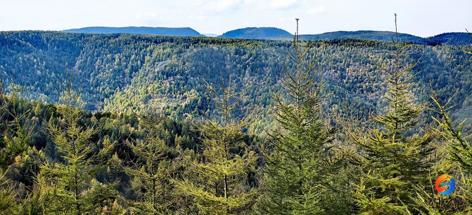 4qIqBD3oay5lpZbRf_kftLJG3gbhzDCXEwpNiXscavpGUbCNVfITDgoqFjRjffPO