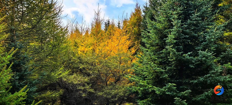 4qIqBD3oay5lpZbRf_kftF0kiPv4b8GW0zNDOiWjG71Aq8A6qyN9DT5O-aHuDbnk