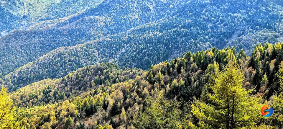 4qIqBD3oay5lpZbRf_kftMFXI8vfIKMYw0uFfhQVRp5EnVddXbnKnFiJY5hGpqsm