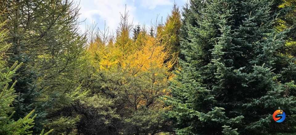 4qIqBD3oay5lpZbRf_kftMfylKLGO3qQmU28XSR8hBzfDbYDbxxYEa36WogZa-78