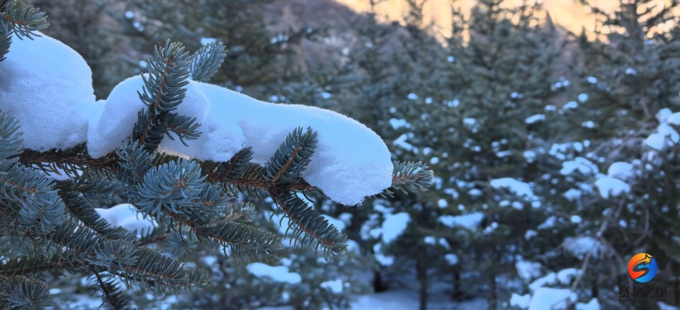 inFY5-7NZKSXEAQLHU8YrEFff33t5FWa1HmelsSsO6djRH4b7nxnS00-G_tiS9K0