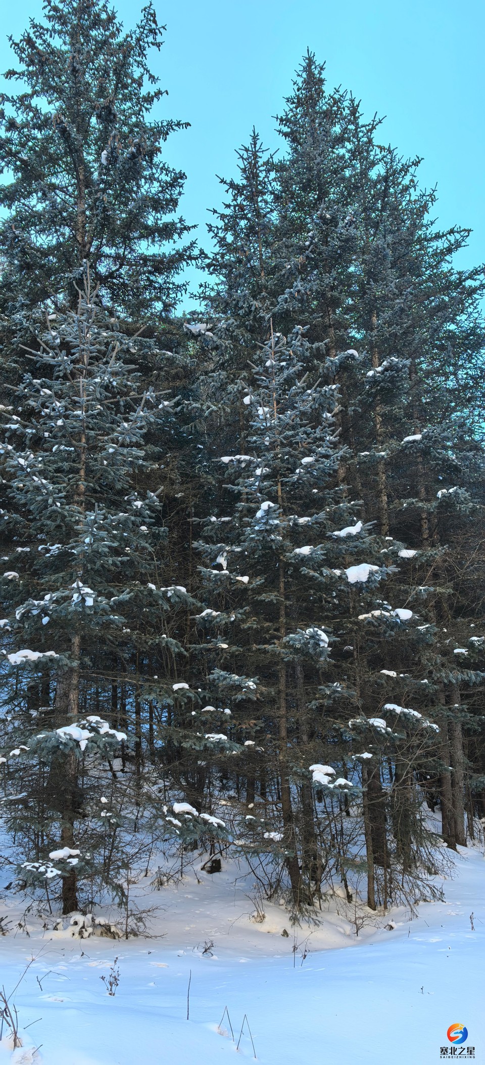 inFY5-7NZKSXEAQLHU8YrHpp_q55IrhDDY9s4noEXHHfK4nA5jbJv3ZiTL6dzEki