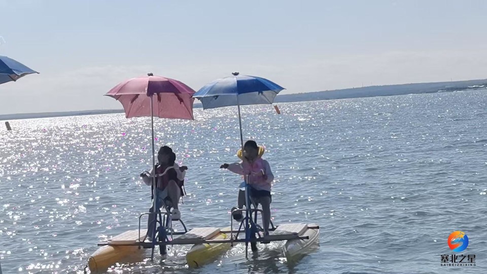 mmexport1754188902259