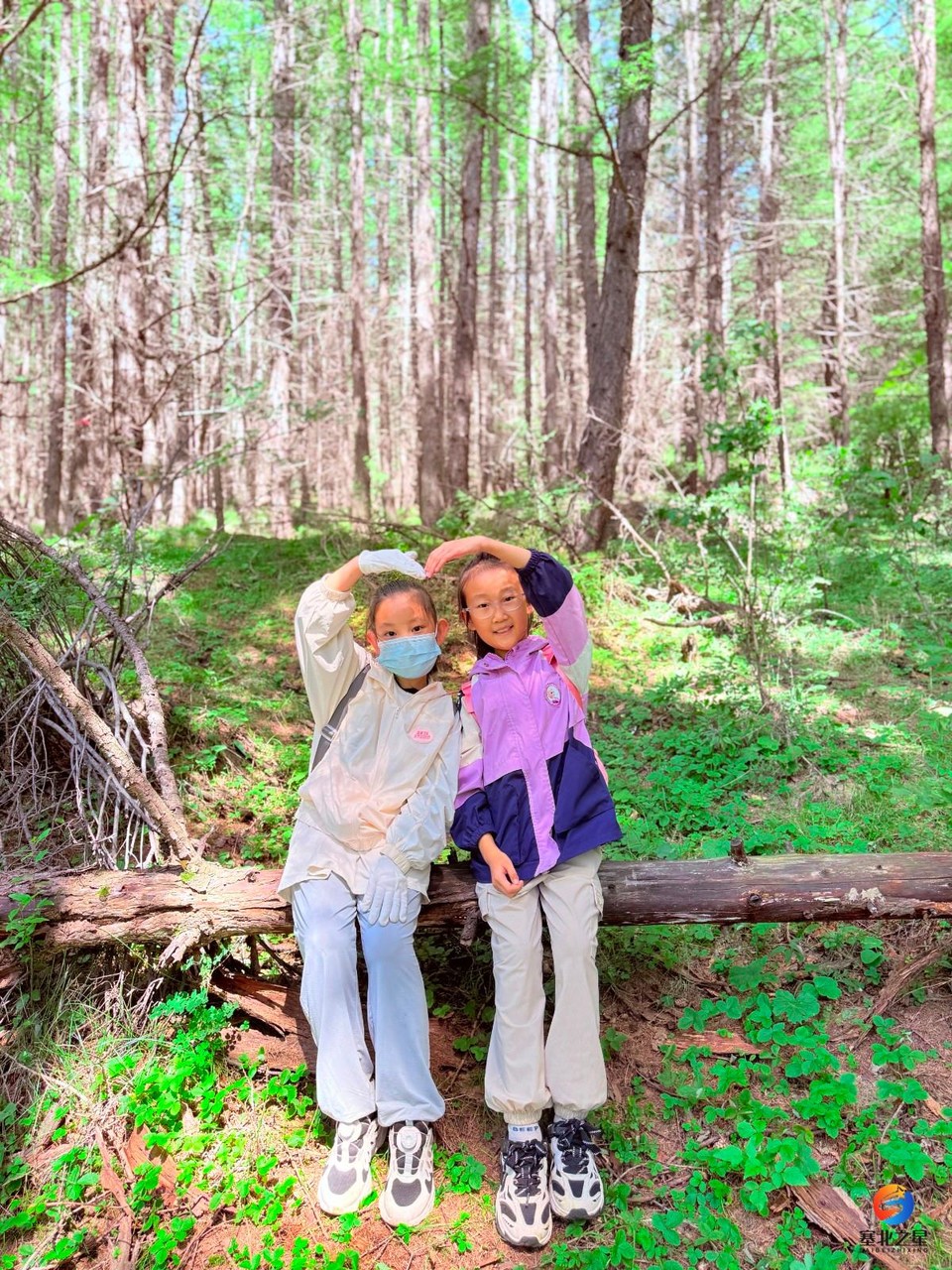 mmexport1757323052387