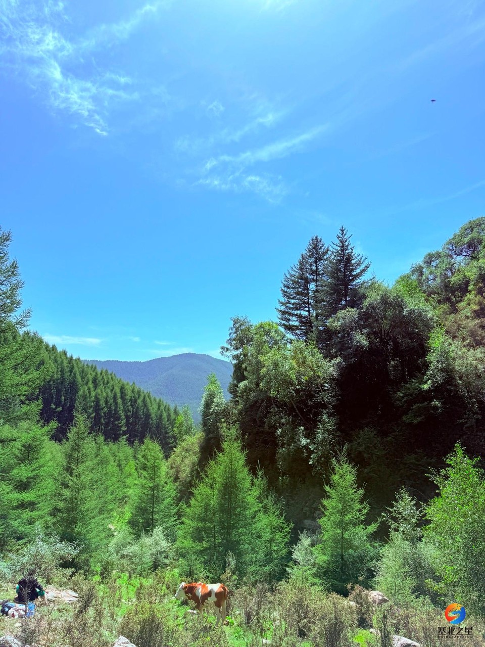 mmexport1757323042676