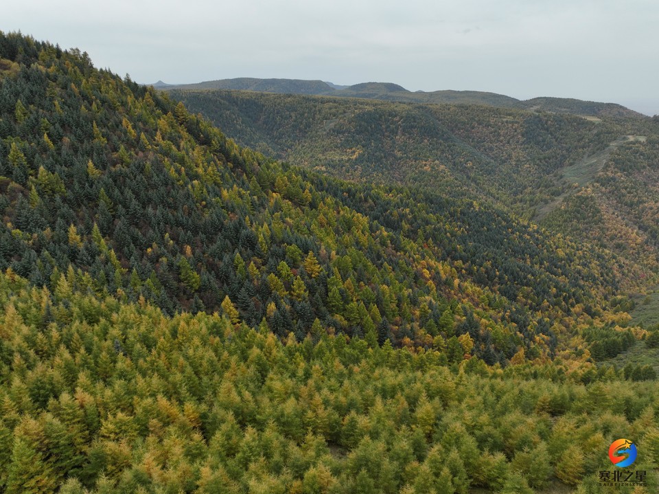DJI_20251001112749_0014_V