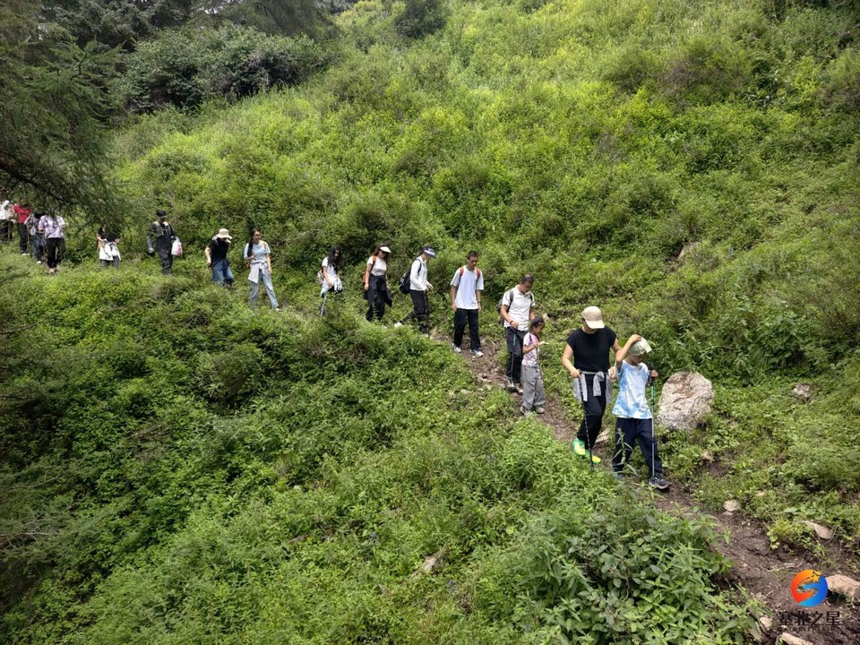 fdc57iXaVEGutbF1roxnJunDiUImQCg8vZsN921IGzSLOWpmE2njFRGkaj6-M7tn