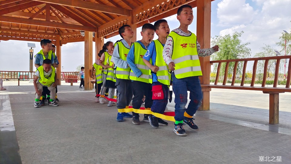 50e46974a4b32108c1fc6a862af489c