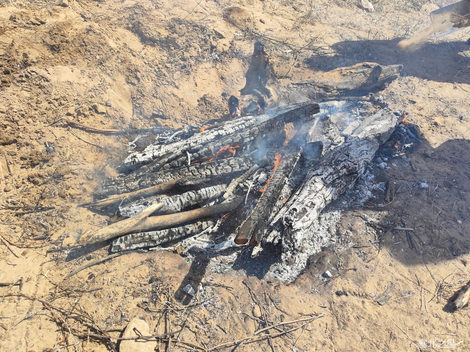 02011cc5b85223aec23ca41119eb803