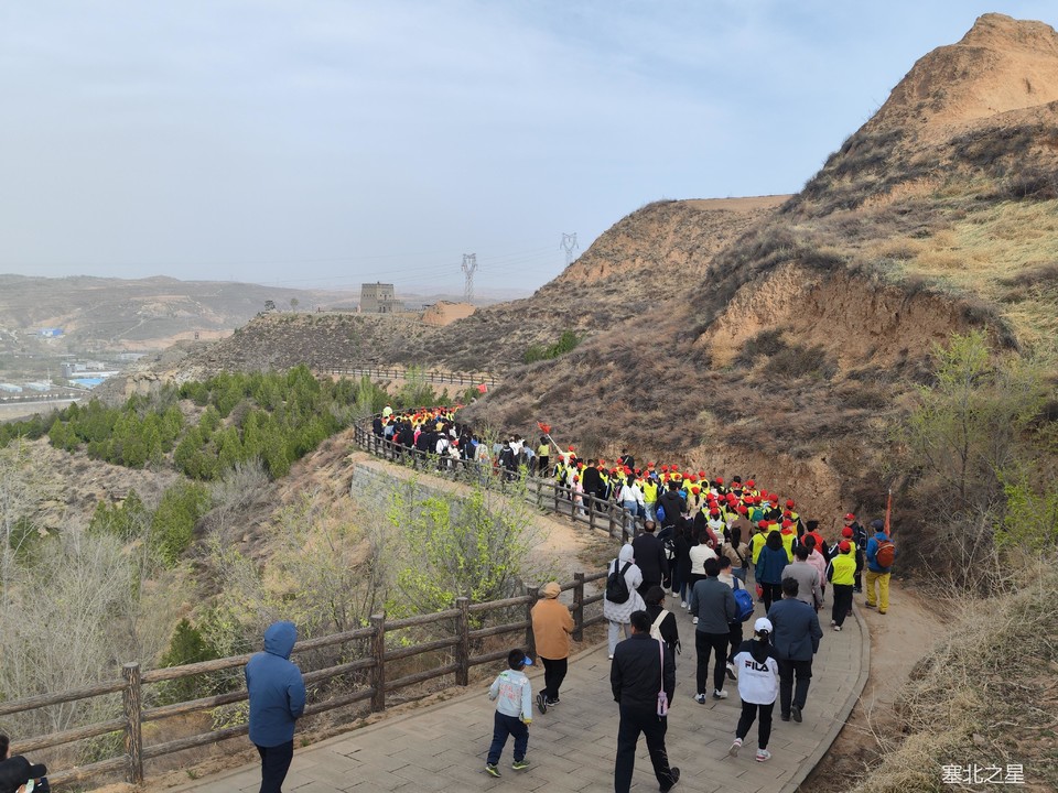 f52d6e3f72e578c52df38d6699f2bf2