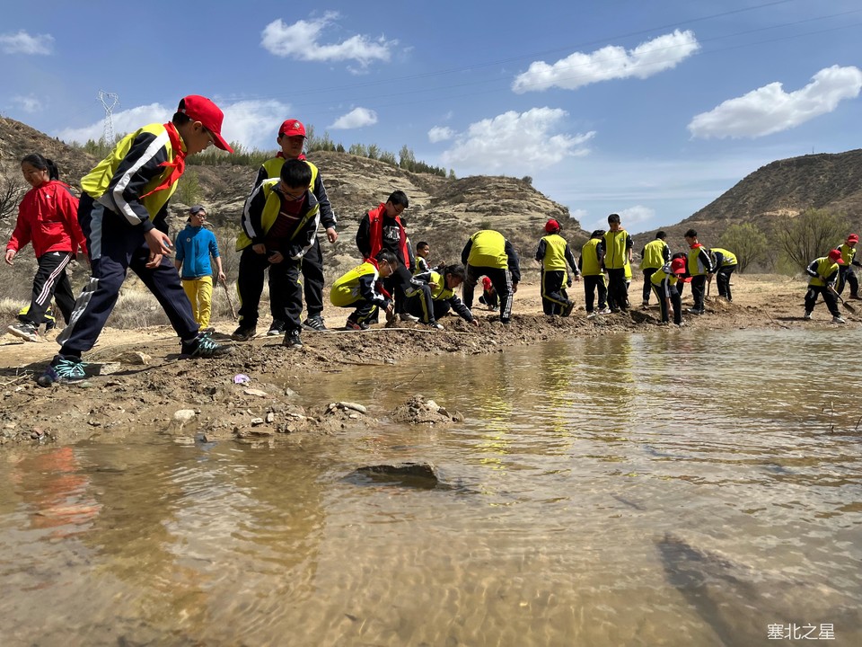 7294b584a6d18fc71008460cc295d26