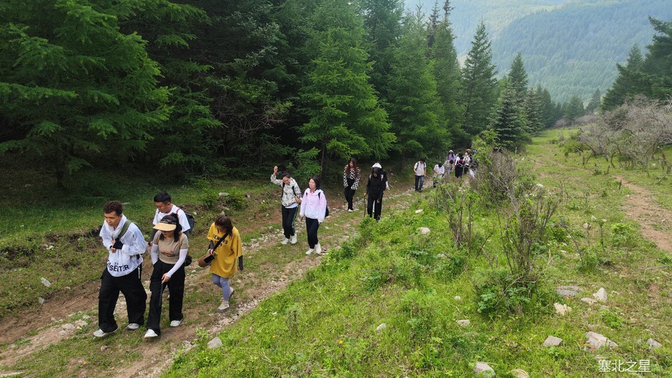 eec2736e6c5b2e0f21f7dcba870b725