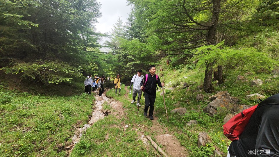 9e6856ed4f129c67eb80f613d4f0c54