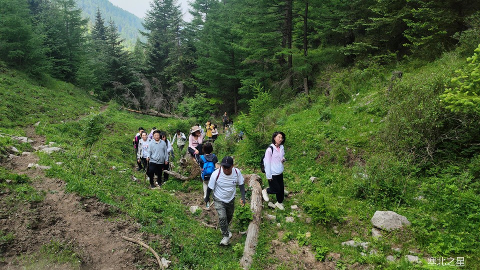 8f86a0318058816d0d43488933661af