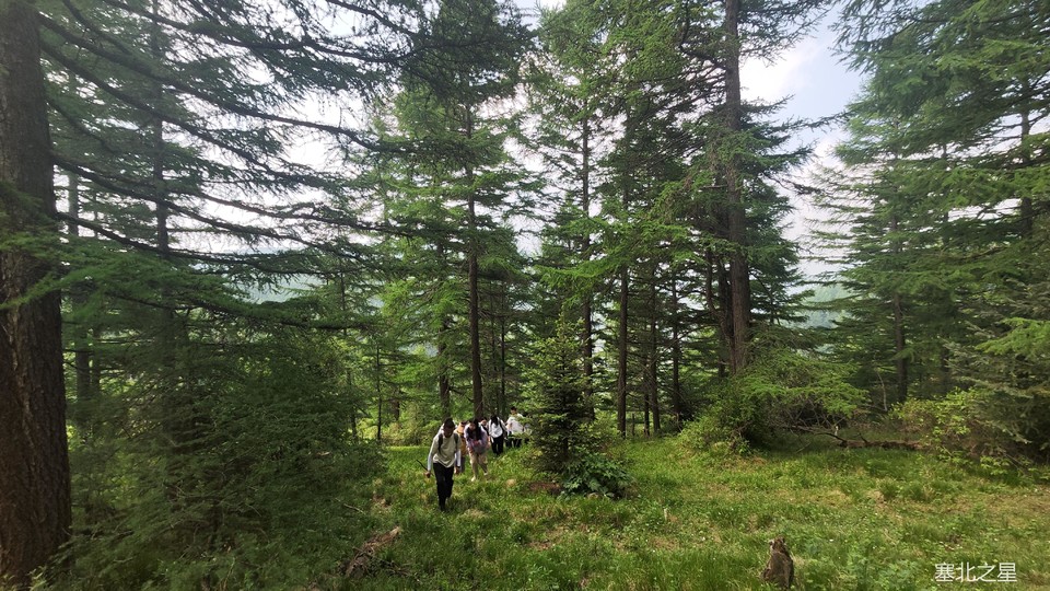 3cb5738efc6420376c2d376059d6bd1