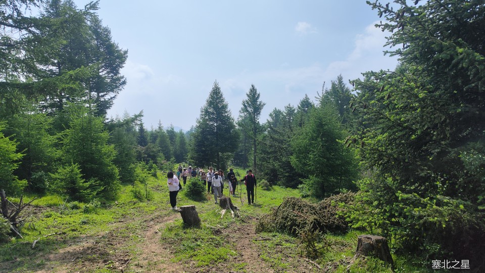 cc7a8e63be74ba654eb04529a3842ad