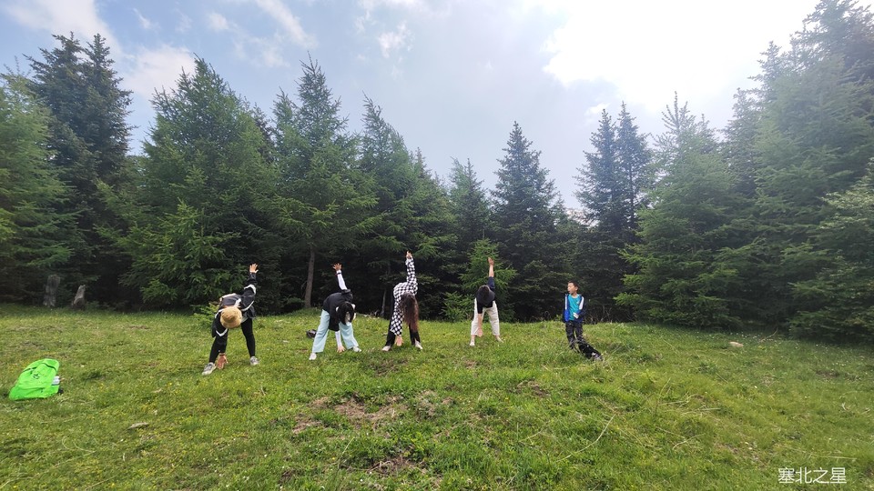 37929bdb9231637e451c6fa32155645