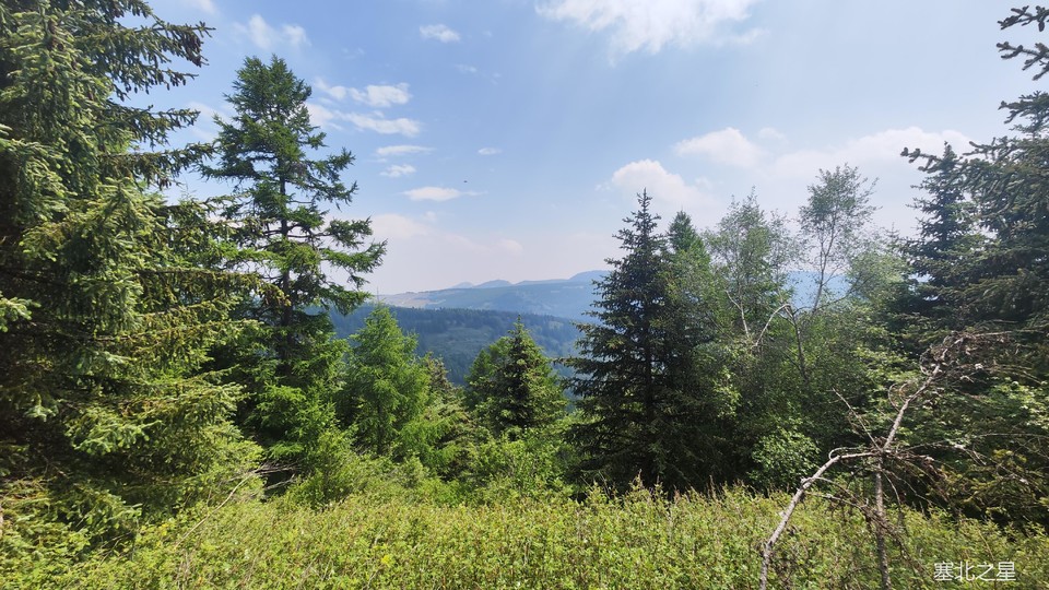 c0107bdb6e2714e56871a80213723fa