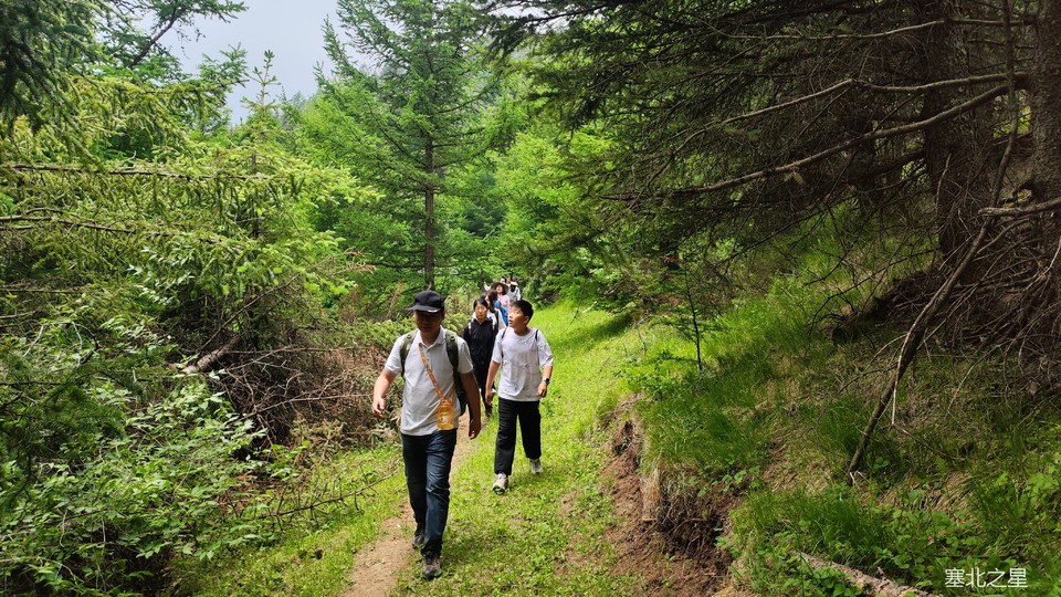 d177301123436bb11613ea2ba7f503e