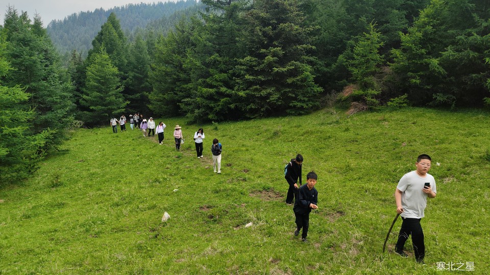 a39c93d3b308c771706955897ef1466