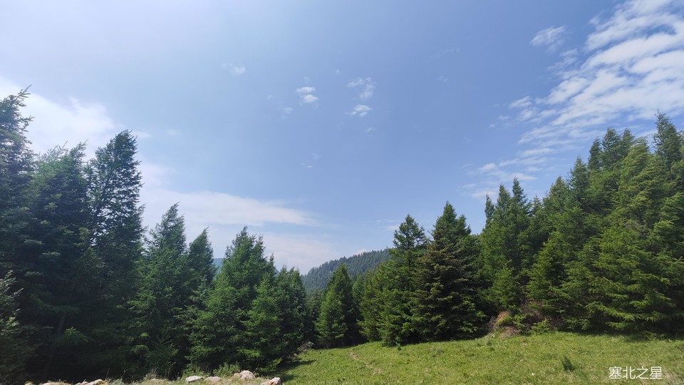 e39467cc55484f16b38933a67239964