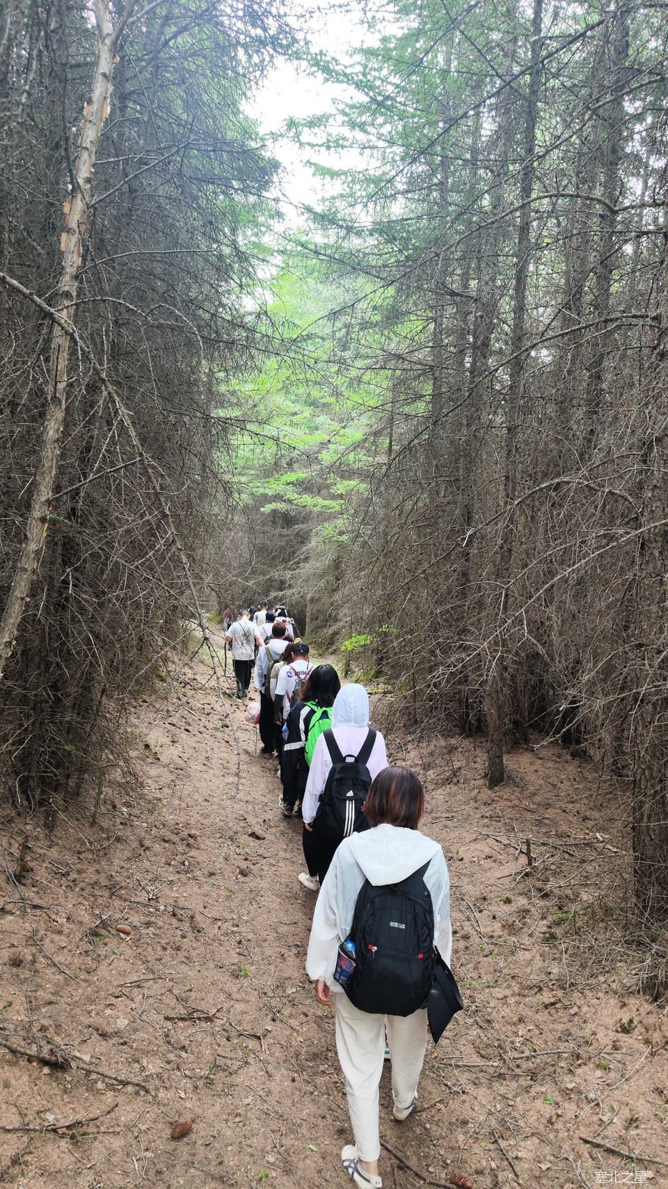 0a3872a105b047bac1b7bafc35ad8b8