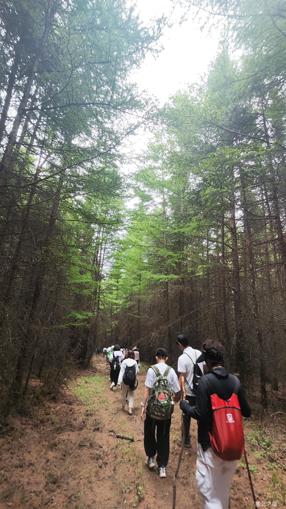 70d8a0a95554b4e872c1d7c6aa5b8bd