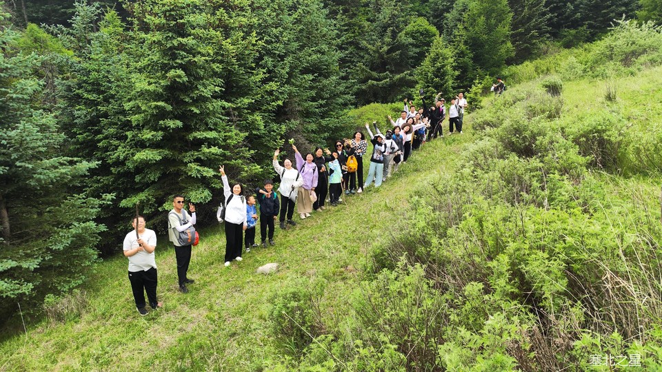 003afbe2248d30c4c7f81e996326036