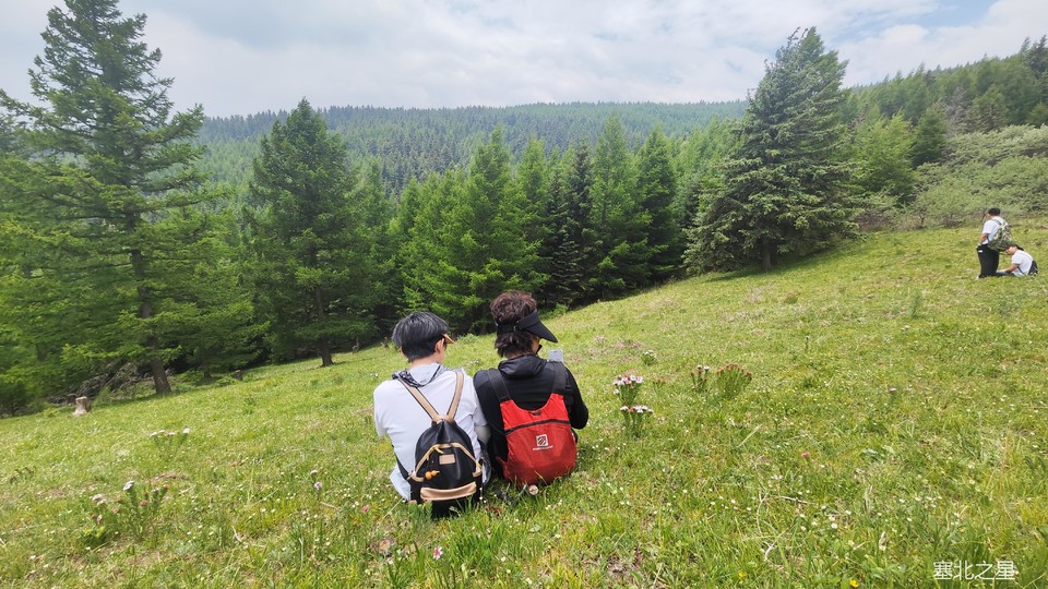 d14eee5afa5c1c76ae8183669be9019