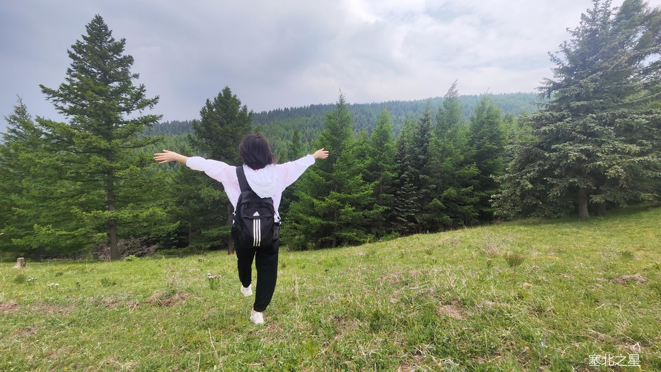 d7acf0ebccd6bbfee0f86d0ca8d2655