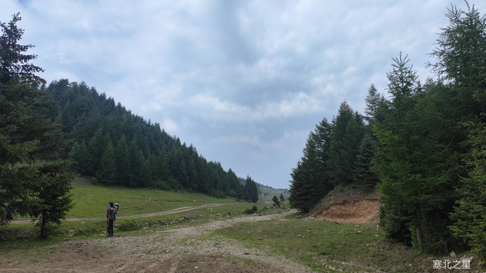 28142f5014c58568a89c89297fe8c75