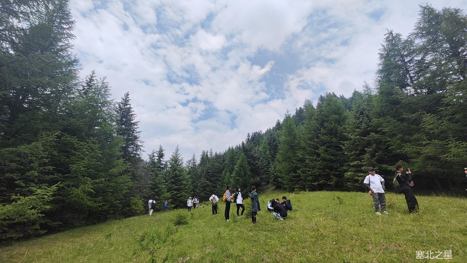 f32fb3c2db8f68355f65afe77c2ee58