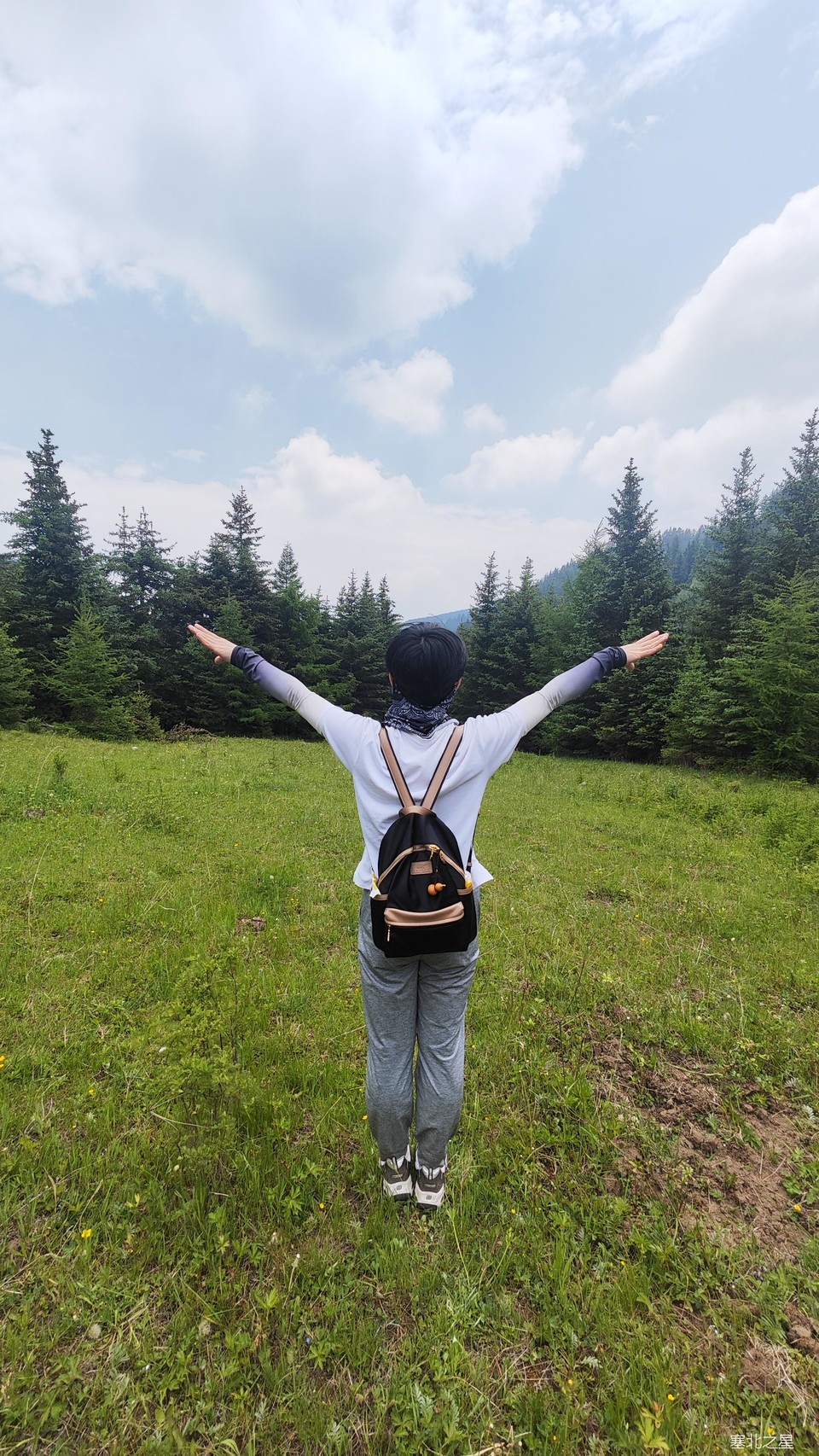 36ac33b57e857e27f34a5a727bef3c9