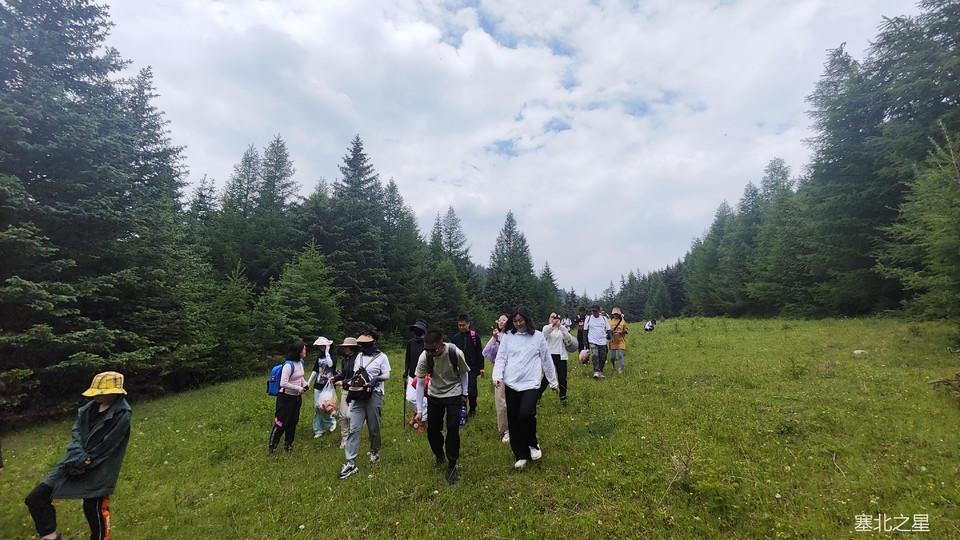 03f4c610389004b8696ad1c5c2bea39