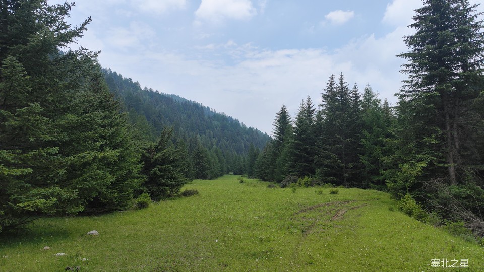 4da36678e5ed2c9b0363ba3338c1c4c