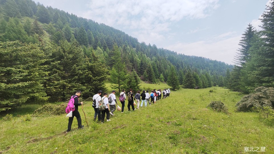 d4d95ef9ce0980d831b44ee2ddd60b6