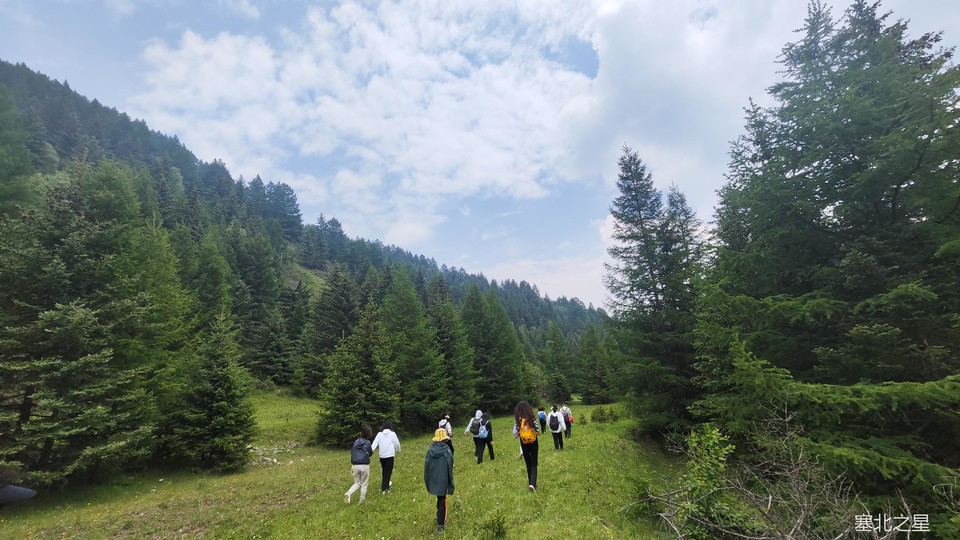 4f9214aca72594692d041f9a5f0dd00